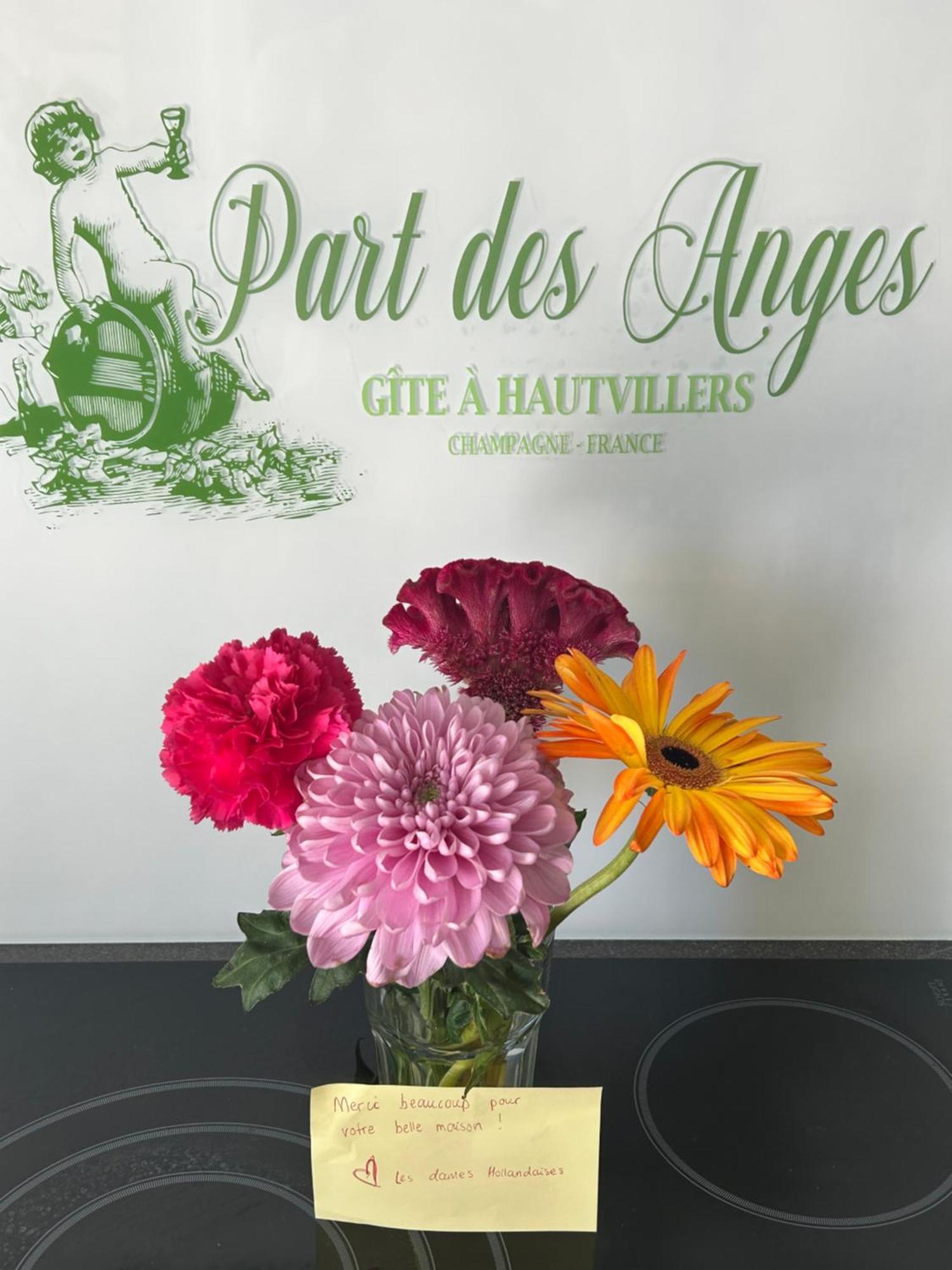 Part Des Anges - Gite Hautvillers Bagian luar foto